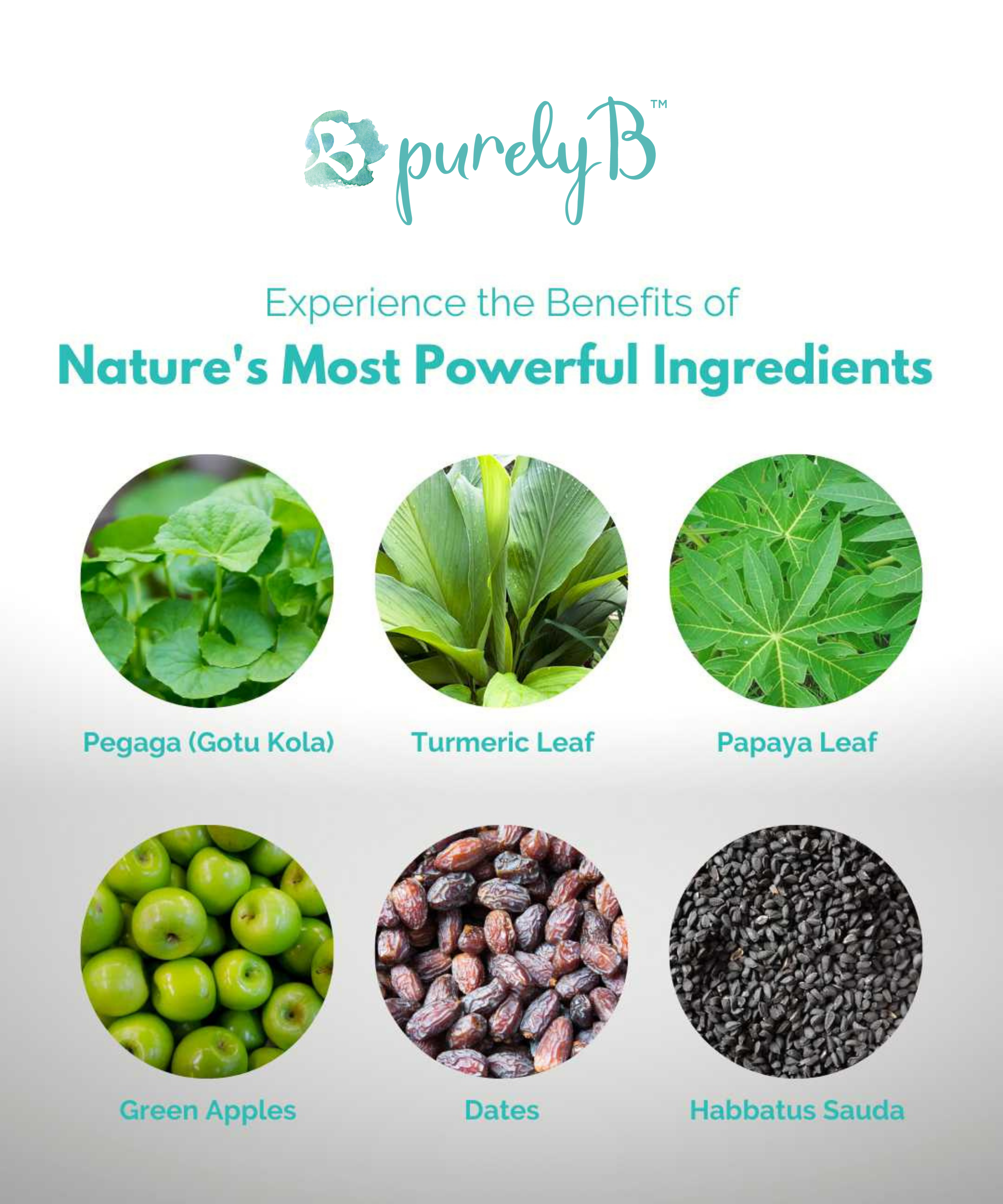 The Gentle Reset Kit