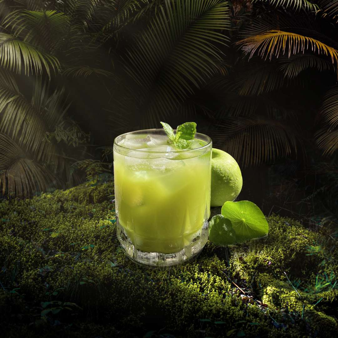 Holistic Anti-Inflammation Program