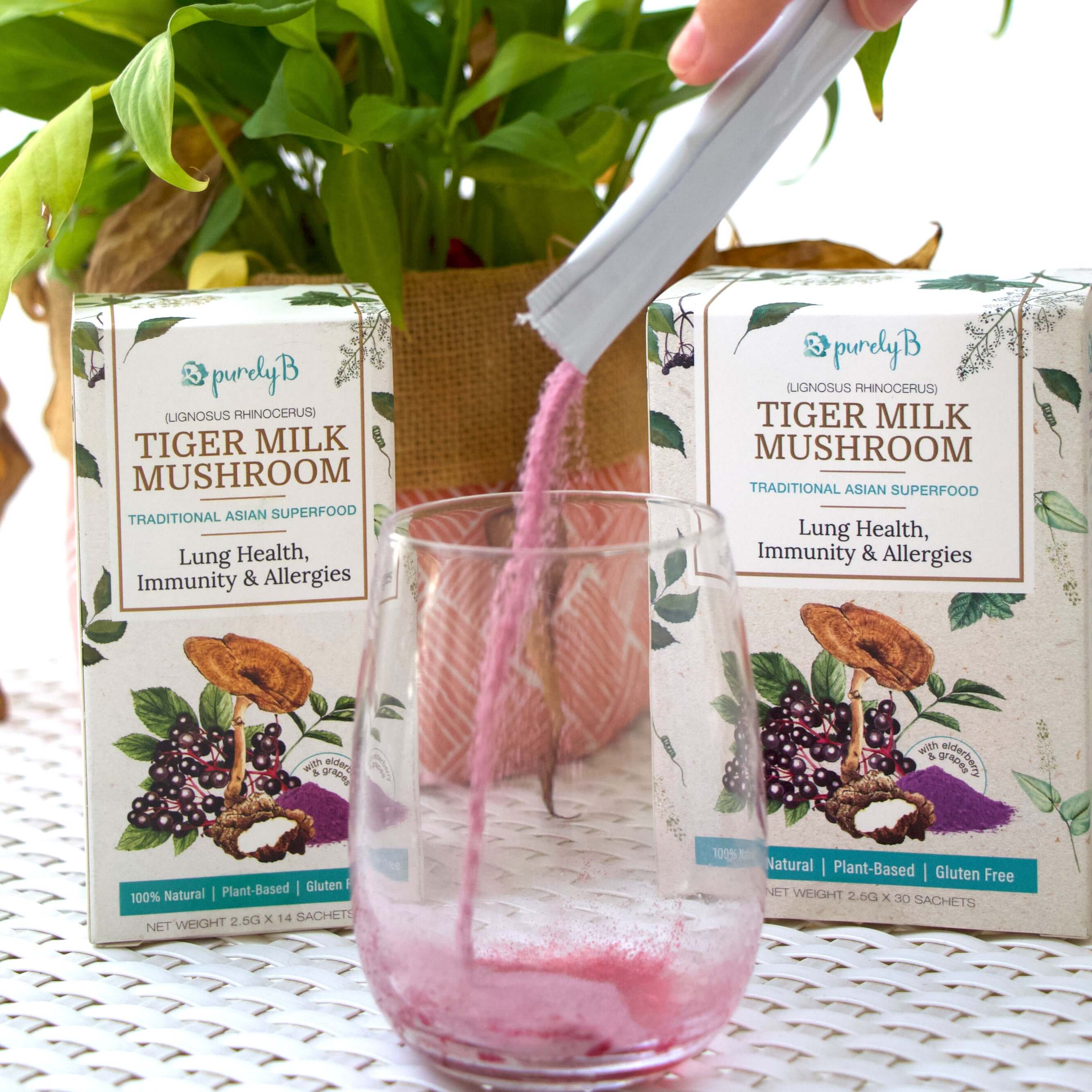 Holiday Immunity Rescue Kit