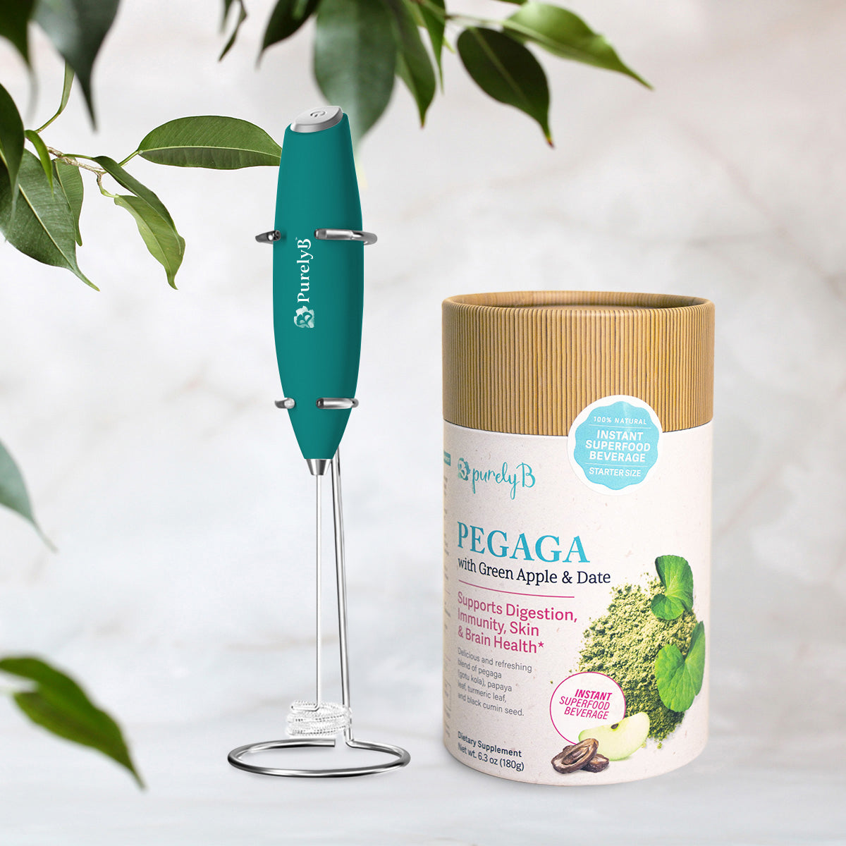 Pegaga Power Mixer Bundle