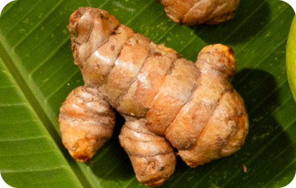 Red Ginger & Turmeric