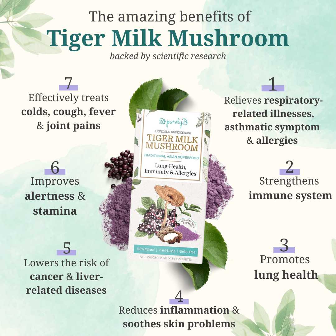 Tiger Milk Mushroom - Subscription